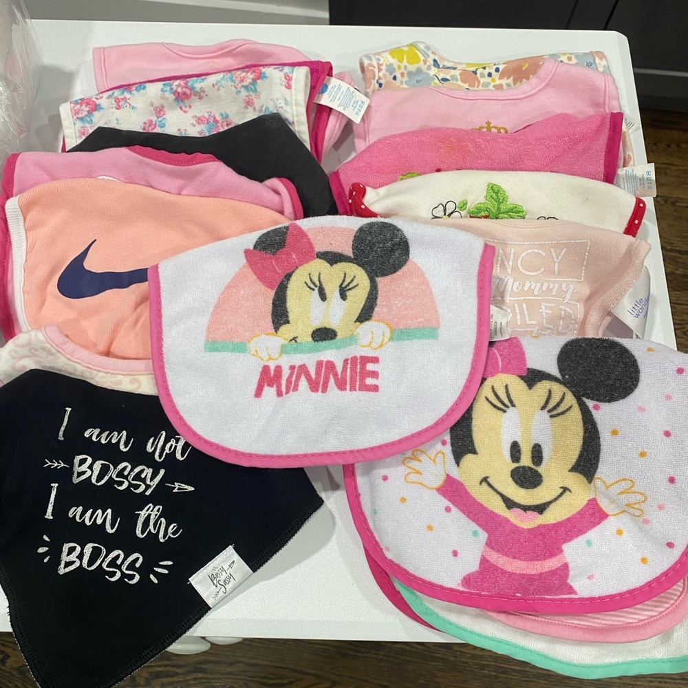 Bundle of 19 baby girl bibs